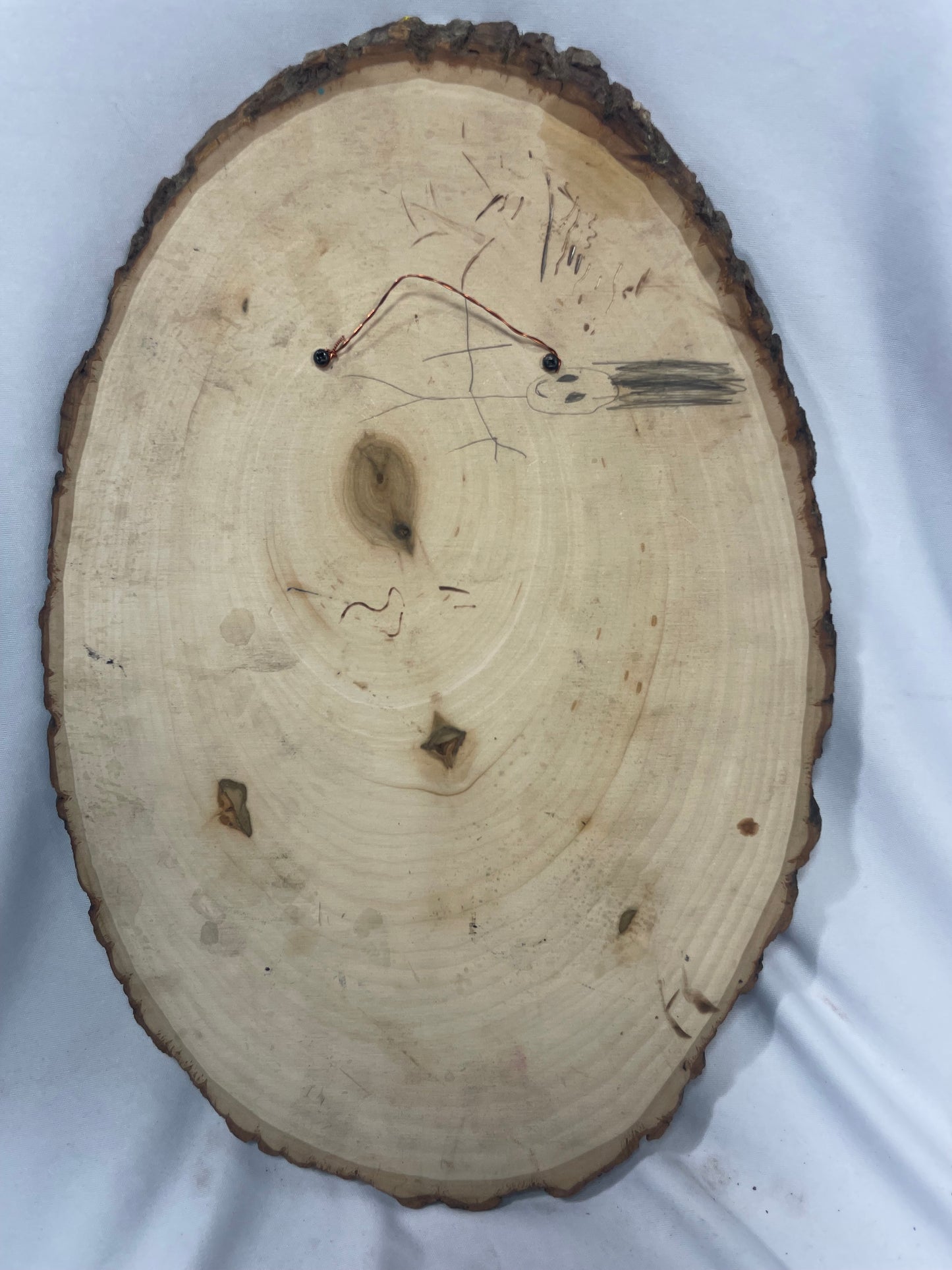 Handcrafted Pyrography & Watercolor Donkey Reflection Artwork – 13” x 8.5”