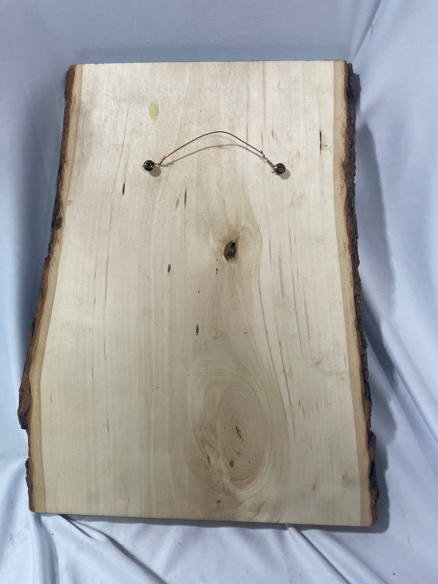 Indian Canyons Handcrafted Pyrography & Watercolor Artwork – 13” x 10”