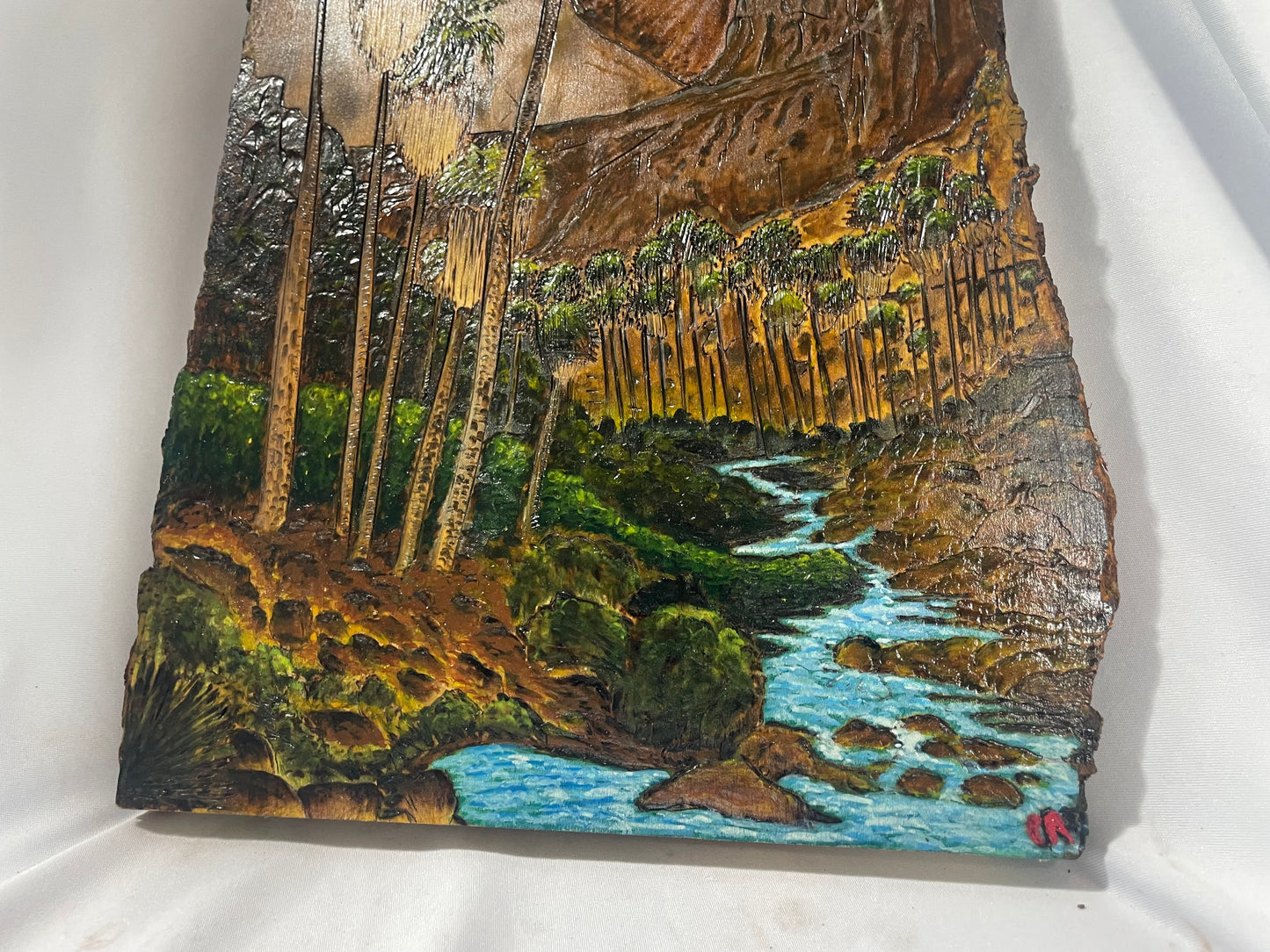 Indian Canyons Handcrafted Pyrography & Watercolor Artwork – 13” x 10”