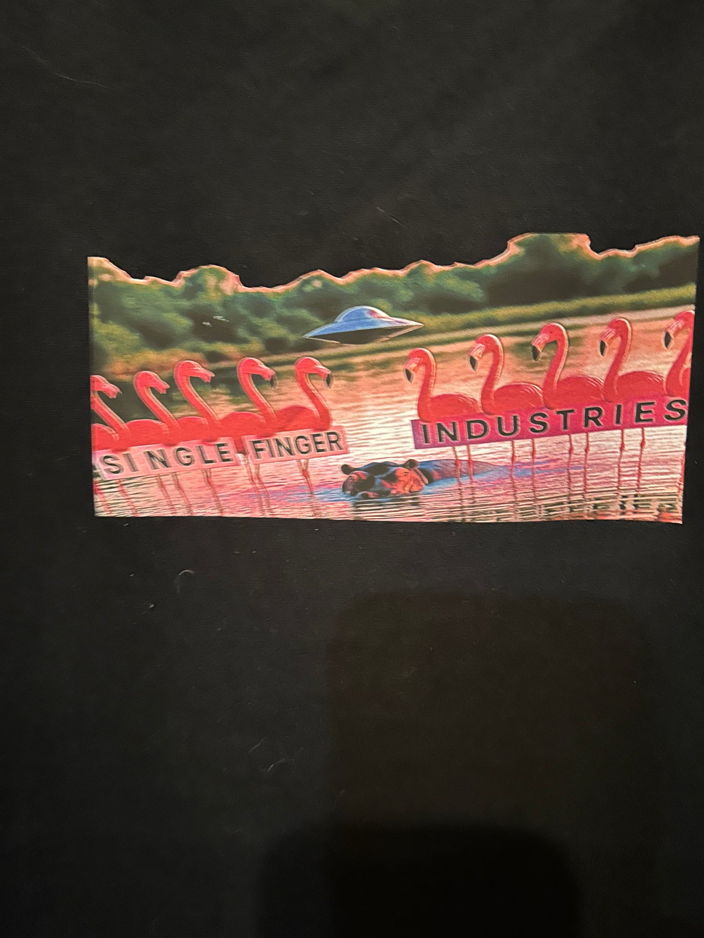 Rad SF1 Flamingos UFO and Hippo tank top
